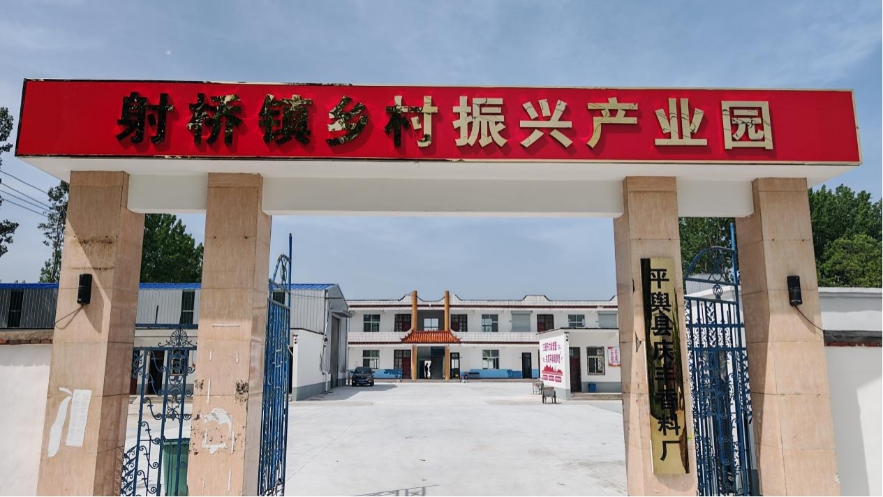 平舆县射桥镇：精准把脉问需求 助企纾困促发展