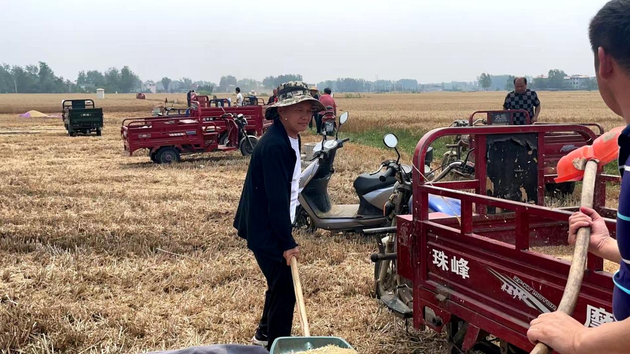 新蔡县杨庄户乡：暖心帮扶监测户 助力“三夏”稳生产