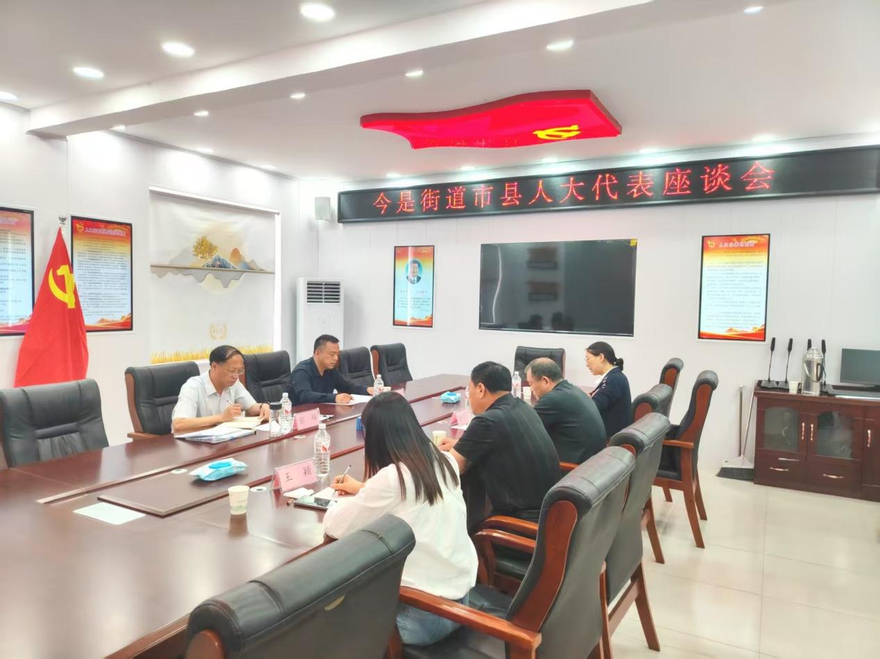 新蔡县今是街道：发挥凝聚代表力量 扎实做好基层工作