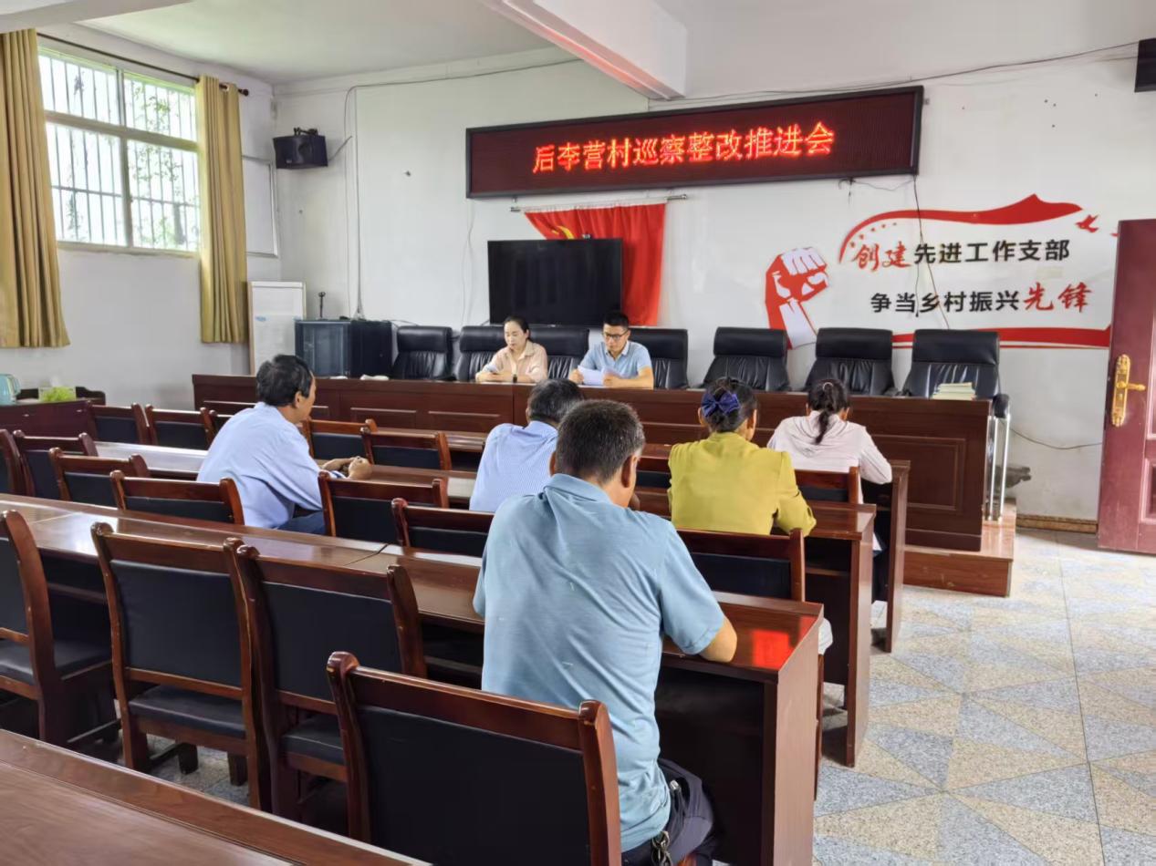 新蔡县棠村镇：加强工作督导 巡察整改取得实效