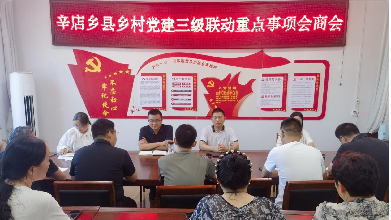 平舆县辛店乡：“12345”工作法聚力攻坚 党建“双提升”固本强基