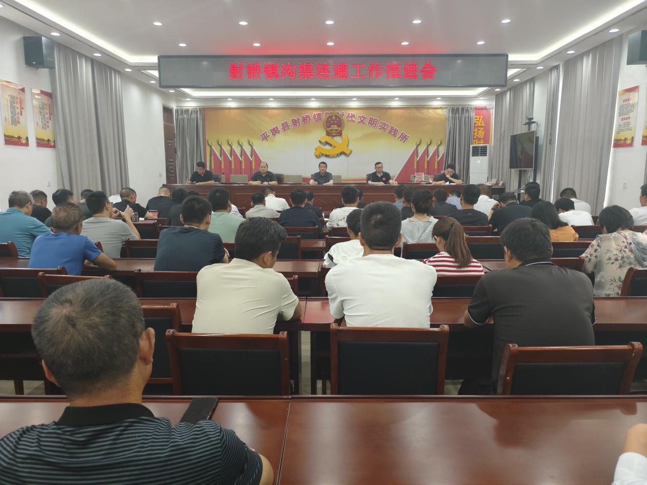 平舆县射桥镇：召开沟渠连通推进会 为乡村振兴筑牢水利根基