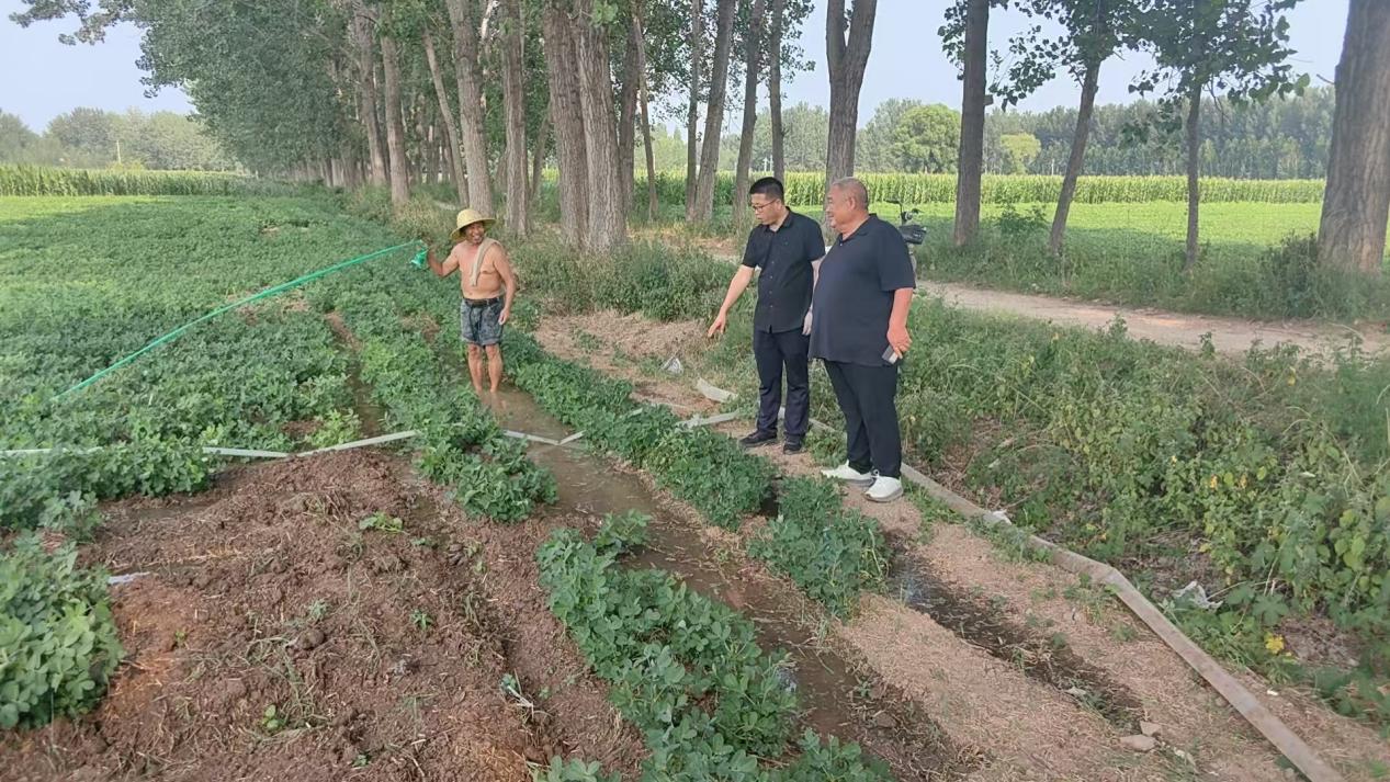 平舆县清河街道：两级书记下地头 抗旱保秋助丰收