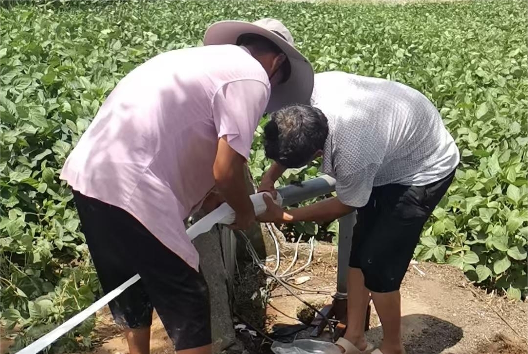 新蔡县练村镇：干群同心掀起抗旱保秋热潮