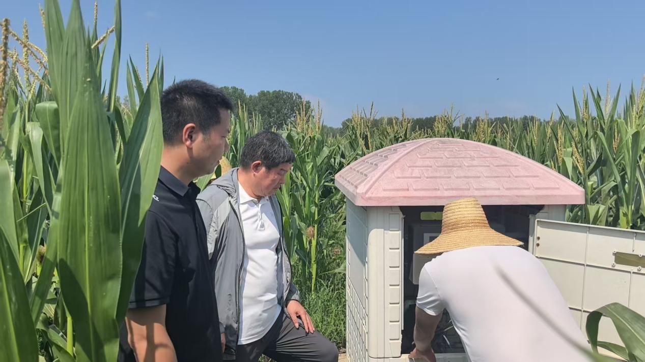 平舆县辛店乡：战高温保秋收 驻村第一书记一线攻坚显担当