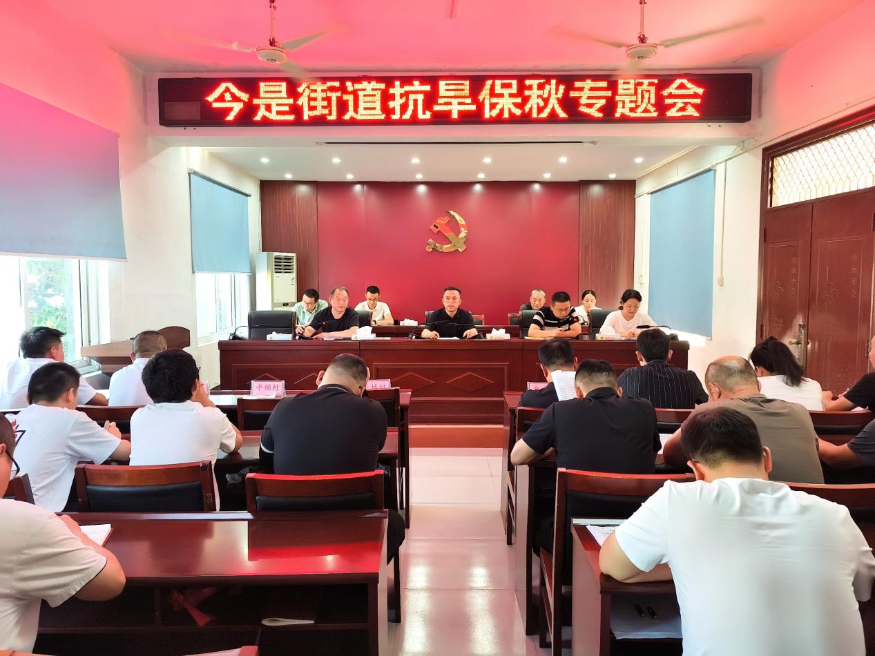 新蔡县今是街道：服务架起“连心桥” 抗旱浇出干群情