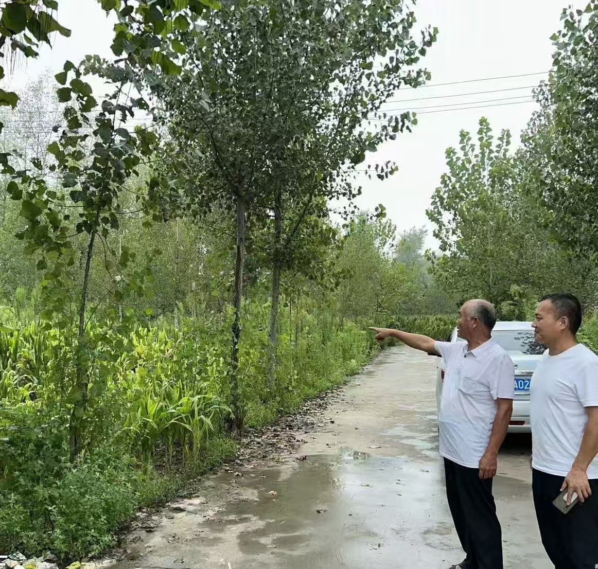 新蔡县杨庄户乡：开展图斑整改督查 严守耕地保护红线